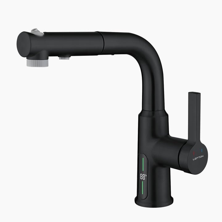 Lefton Single-Hole Liftable Pull-Out Bathroom Faucet With Temperature Display-BF2501
